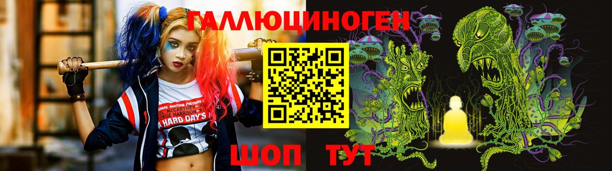 Галлюциногенные грибы Psilocybine cubensis Псков
